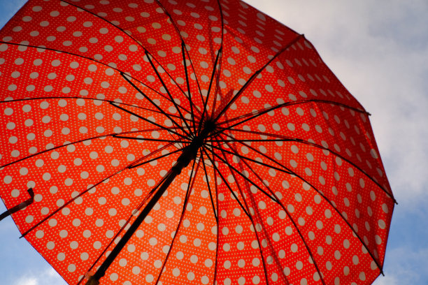 色彩鲜艳的圆点伞图片下载