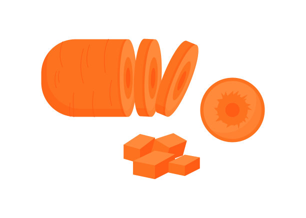 胡萝卜切片矢量概念图片下载