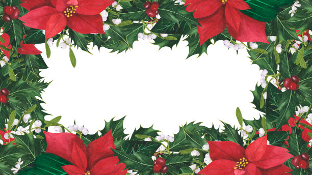 圣诞框架与冬青叶浆果，一品红，槲寄生孤立在白色背景。水彩手绘边界。插图用于设计装饰、贺卡图片下载