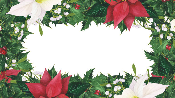 圣诞框架与冬青叶浆果，一品红，槲寄生孤立在白色背景。水彩手绘边界。插图用于设计装饰、贺卡图片下载