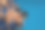 站在蓝色背景上手持数码相机的特写图片下载