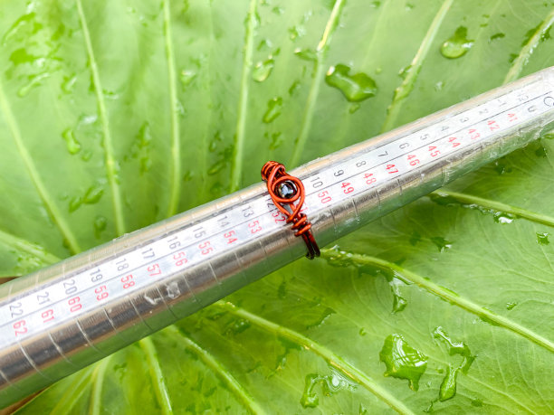 不锈钢刻度环棒芯轴测量图片下载