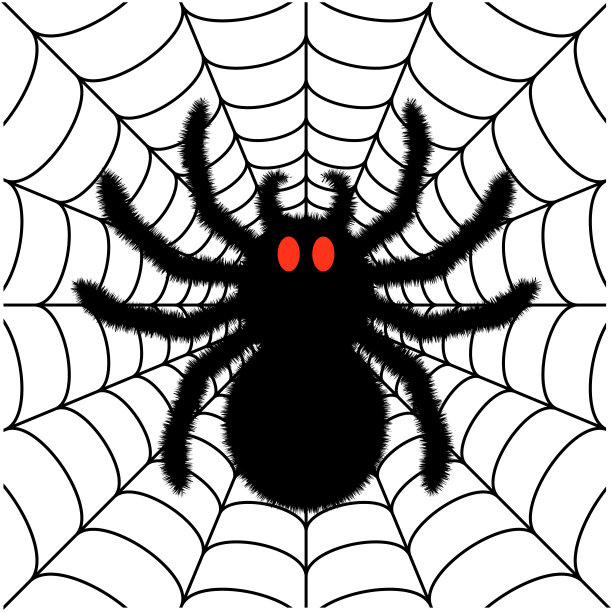 蜘蛛web37图片下载