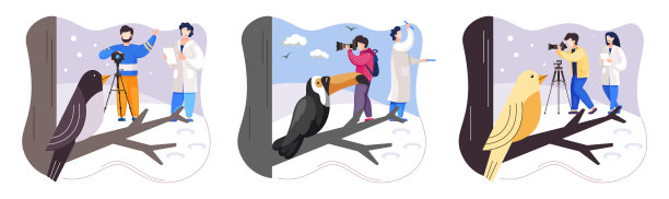 野外动物观察。生态学家和科学家进行研究，照顾家禽和自然图片下载