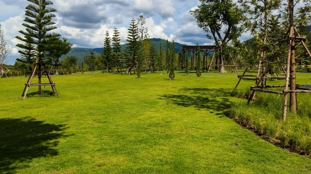 公共公园的绿地草坪和园林景观图片下载