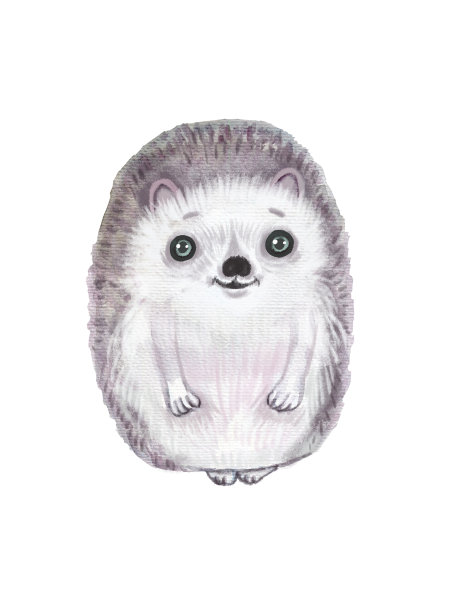 可爱的人物水彩手绘刺猬，海报托儿所。图片下载