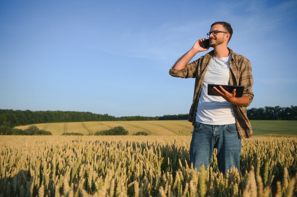 收割小麦的农民图片下载