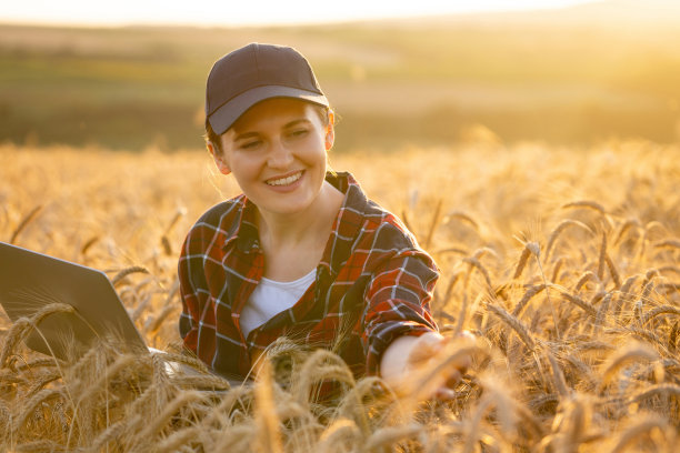 农民在麦田里用笔记本电脑工作图片下载