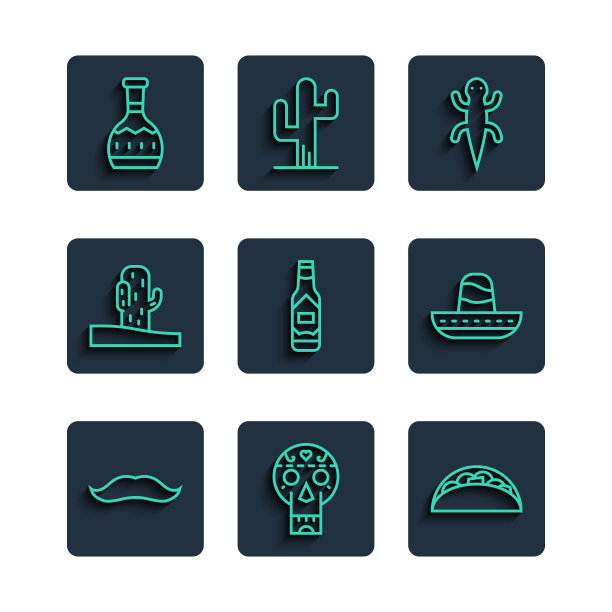 设定线胡子，墨西哥头骨，墨西哥卷饼，蜥蜴，塔巴斯科酱，仙人掌，龙舌兰酒瓶和墨西哥宽边帽图标。向量图片下载