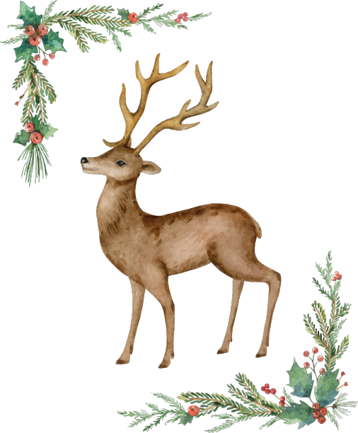 圣诞水彩花环和一只鹿图片下载