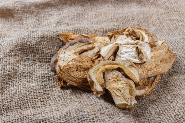 麻衣上的干蘑菇。俯视图干牛肝菌图片下载