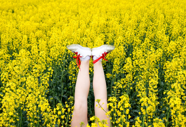 穿运动鞋的女人的腿从花里伸出来。腿了。黄油菜花衬托下的腿图片下载
