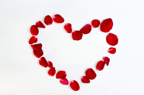 玫瑰花瓣孤立在一个白色的背景红色设计心图片下载