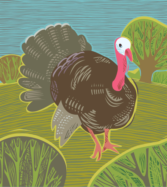 感恩节火鸡图片下载