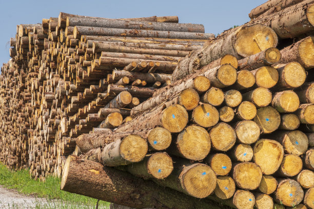 存放原木的地方图片下载