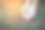 双手和幼苗创造一个小小的价值。图片下载