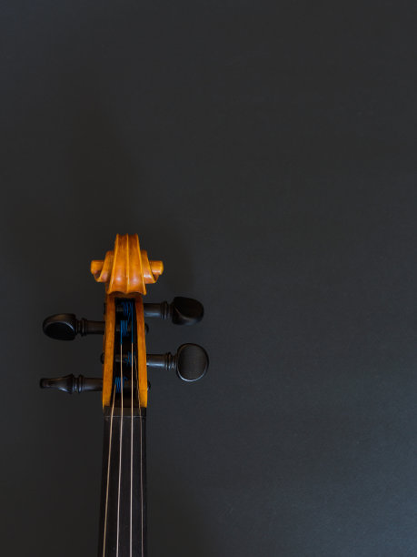 深色背景上的橙色小提琴图片下载