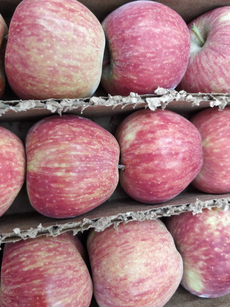 苹果水果背景图片下载