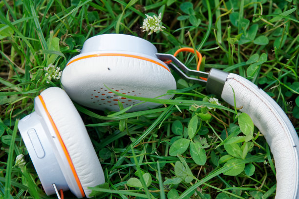 耳机躺在阳光明媚的绿草地上，经营理念图片下载