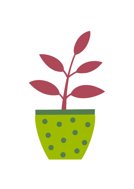 装饰过的花盆里的卡拉西亚室内植物插图图片下载