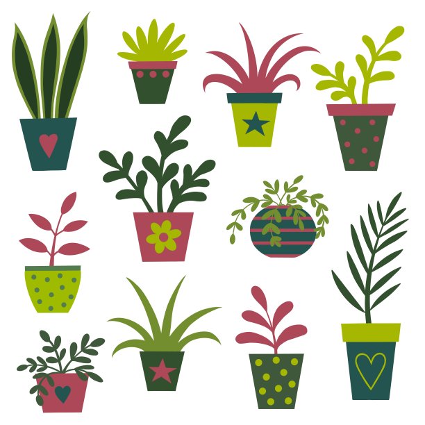 室内盆栽植物装饰的插图图片下载