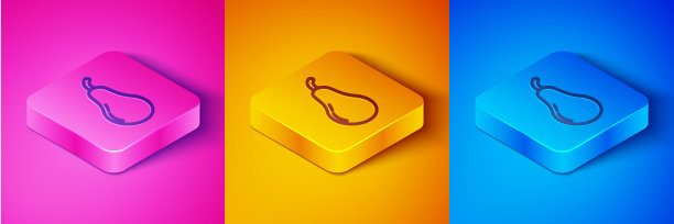 等距线梨图标隔离等距线背景。果实带叶符号。方形按钮。向量图片下载