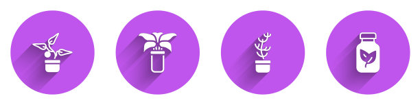 设置植物在锅，异国情调的热带植物，化肥瓶图标与长阴影。向量图片下载