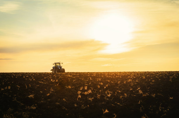 在拖拉机上的农民用苗床耕作机准备土地图片下载