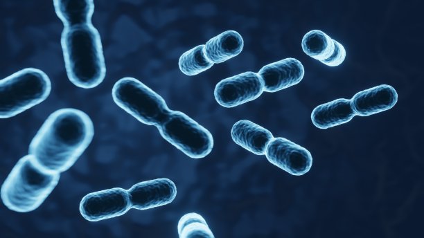 人类免疫的微生物群，益生菌背景，人体健康背景，3D渲染图片下载
