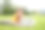 一个带着笔记本电脑的男孩坐在公园里。一个男生正在户外用电脑打字。小男孩在网上用电脑学习。男孩在网上上课，而在外面。图片下载