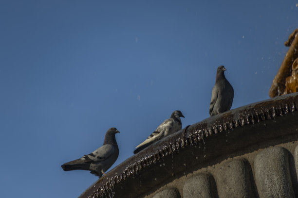 历史悠久的老喷泉与夕阳在夏天炎热的晚上图片下载