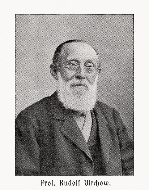 鲁道夫·魏尔肖(1821-1902)，德国医生，光栅印刷，出版于1900年图片下载