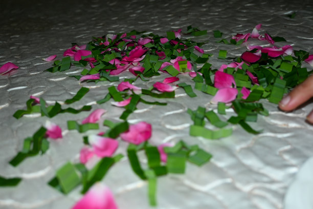 百花香图片下载