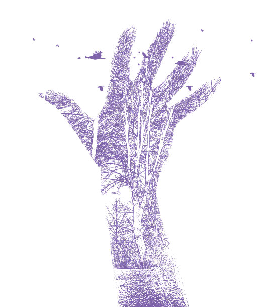 手、树和鸟多次暴露图片下载