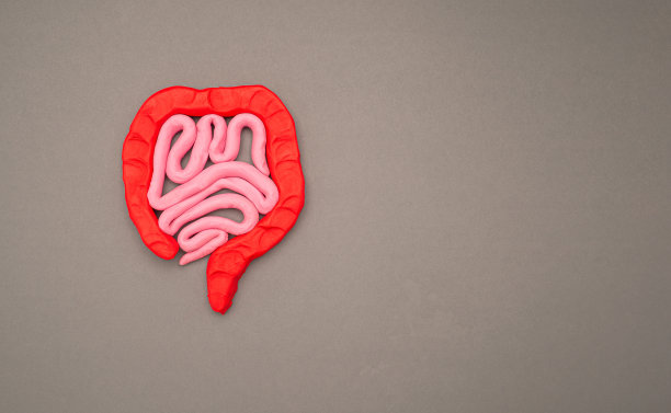 灰色背景上用橡皮泥做成的大肠形状图片下载