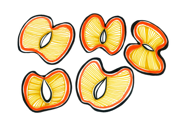 切成两半的浆果。类似桃、油桃、杏。骨头是可见的。以涂鸦风格绘制的图形。孤立在白色背景上。图片下载