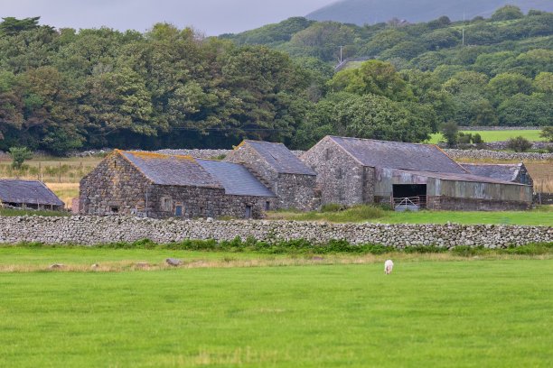 以村庄为背景的景观图片下载