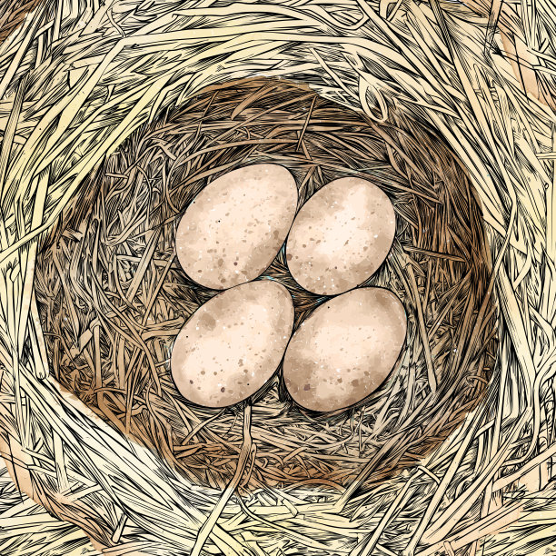 鸟窝与蛋笔墨矢量画图片下载