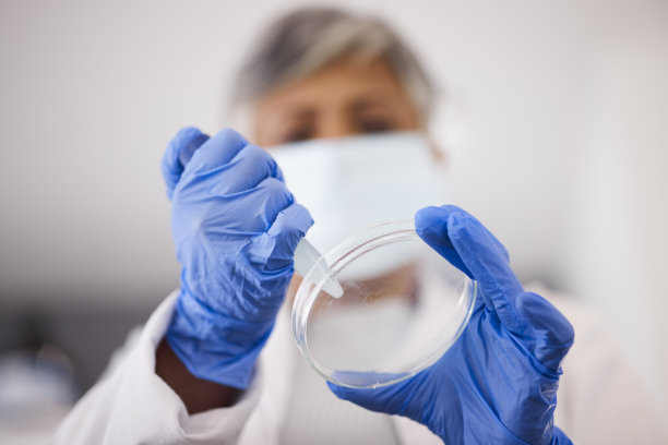 手，培养皿和科学家用DNA样品，科学实验和医学研究，化学和移液器。生物技术，近距离和科学数据研究，实验室中与粒子有关的人与化学图片下载