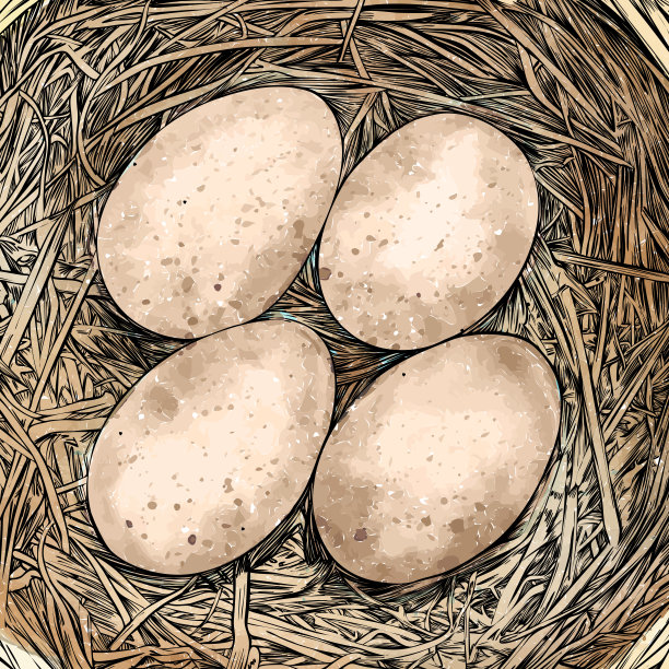 鸟窝与蛋笔墨矢量画图片下载