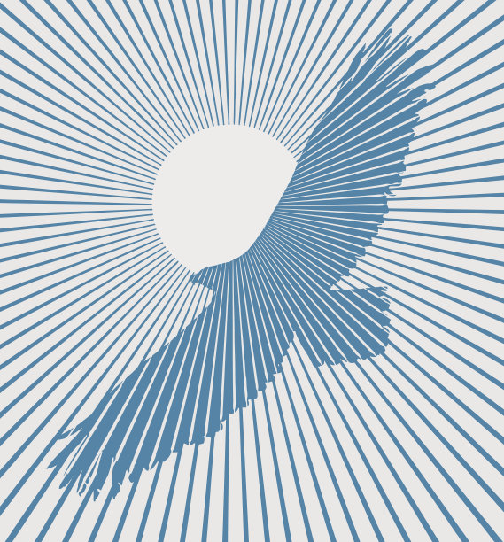 白头鹰飞向夕阳图片下载