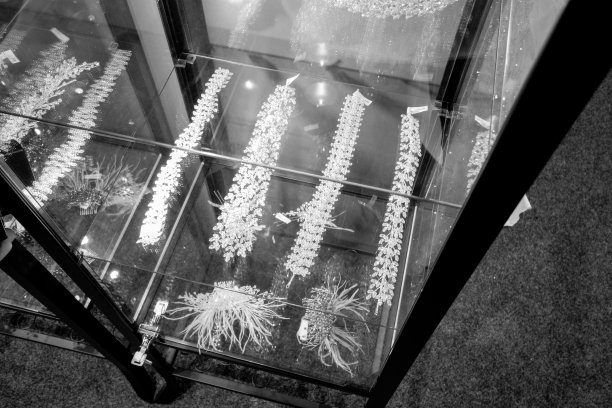 婚纱礼服图片下载