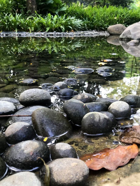 鱼塘边黑色鹅卵石的肖像。一幅阴凉而宁静的画。图片下载