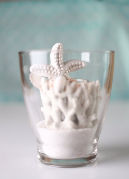 海星和珊瑚在蓝色背景的玻璃图片下载