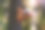 玻璃罐喂鸟器照片。照顾鸟的方法。动物的食物。DIY手工艺品。图片下载