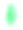高良姜树和叶子高良姜绿白色背景图片下载