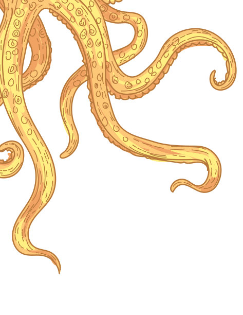 章鱼的触手图片下载