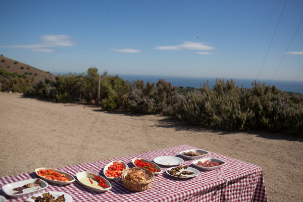 午餐可以看到大海，用火烹制的海鲜饭和新鲜捕获的鱼图片下载