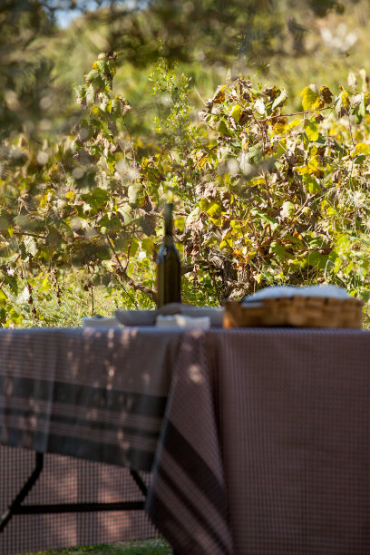 午餐可以看到大海，用火烹制的海鲜饭和新鲜捕获的鱼图片下载