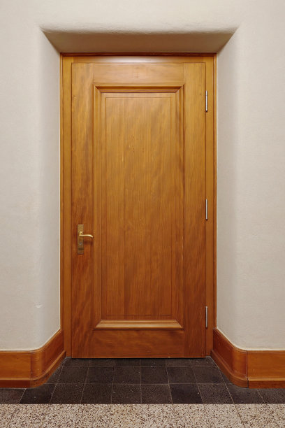 大型公共建筑走廊或走廊内的大型老式硬木、封闭木门。没有人图片下载